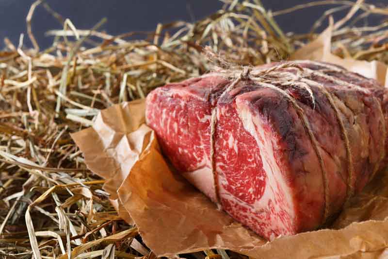 berdeen angus carne