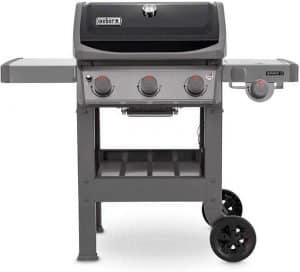 weber barbecue a gas